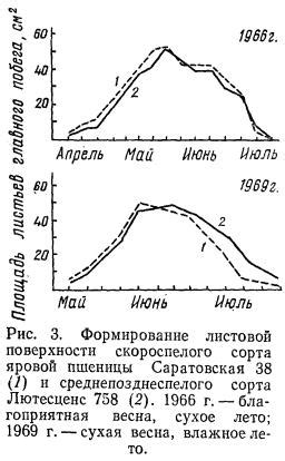 Значение окончания вегетационного периода для деревьев и окружающей среды