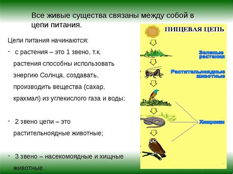 Значение орлов для экосистемы Московской области