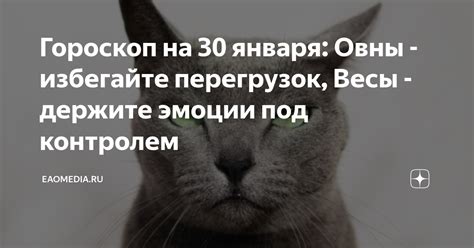 Избегайте сетевых перегрузок