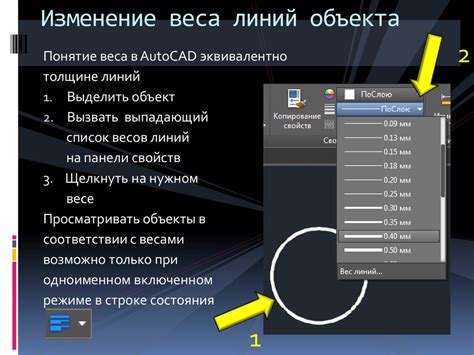 Изменение веса объекта: главные аспекты