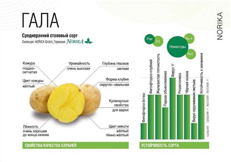 Изменение качества картошки