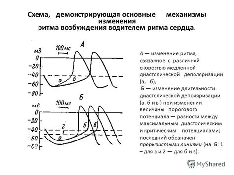 Изменение ритма и длительности вибрации