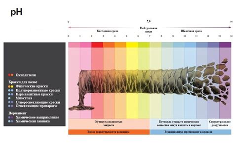 Изменение уровня pH волос