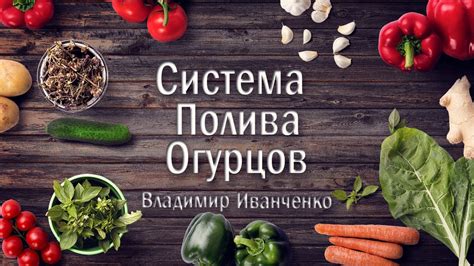 Изучаем подкормку и полив