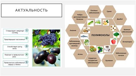 Имеют антиоксидантные свойства