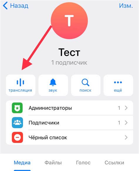 Инструкция по увеличению звука в Телеграм на iOS