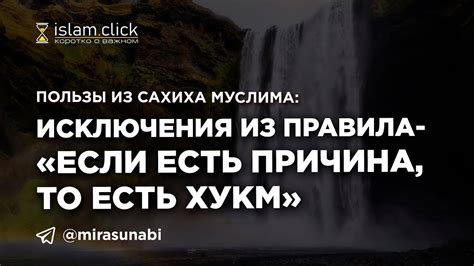 Исключения из правила