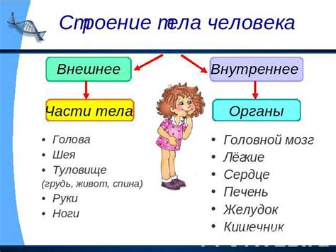 Искусство рисования частей тела человека: руки, ноги, голова и туловище