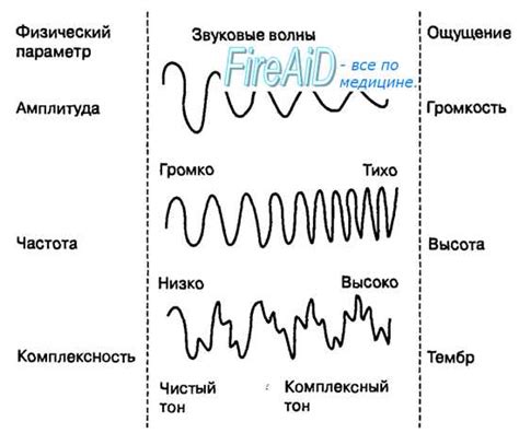 Использование звуковых сигналов и эхолокации