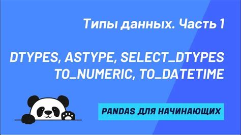 Использование методов определения типа данных в Pandas