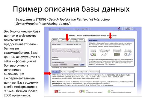 Использование общедоступных баз данных для поиска электронной почты районного суда