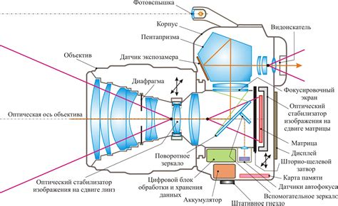 Использование оптических и цифровых увеличений камеры