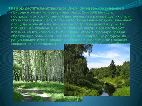 Использование природных средств: роль растительных компонентов