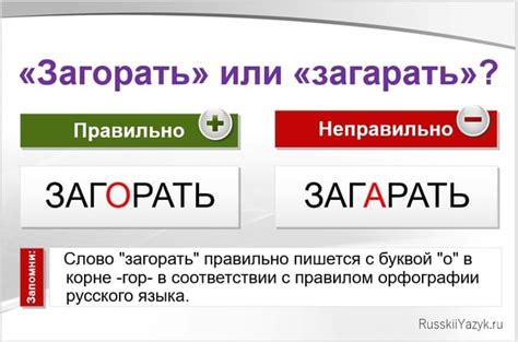 Использование слова "загорать"