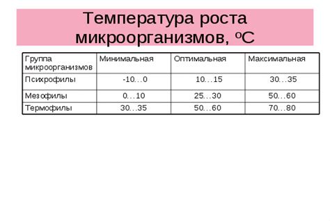 Исследования о влиянии температуры горячего копчения на микроорганизмы