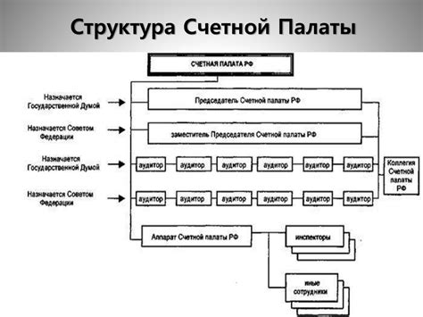 История появления Счетной палаты РФ