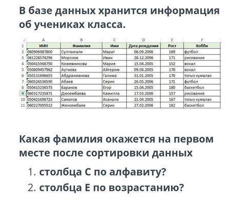 Какая информация не хранится в налоговой базе?