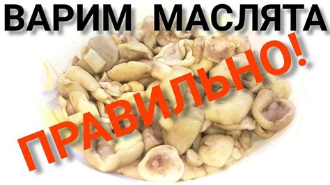 Какая роль варки маслят перед заморозкой