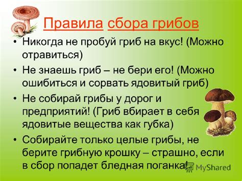 Какие грибы можно давать детям 6 лет?