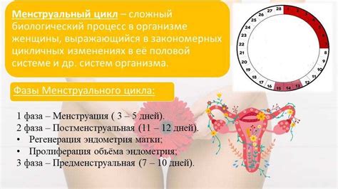 Какие заболевания могут объяснить нарушение цикла