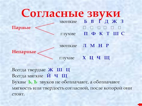 Какие звуки считаются твердыми?