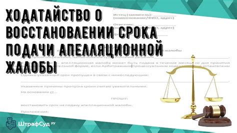 Какие инстанции рассматривают апелляционные жалобы