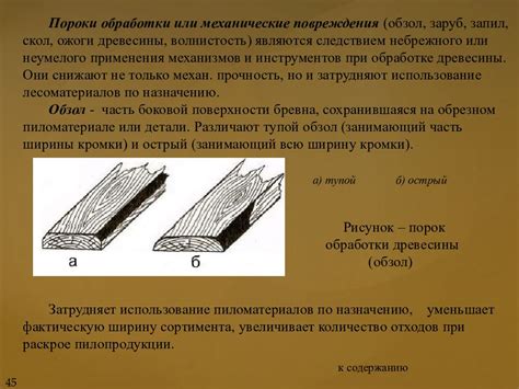 Какие пороки бывают на бревне и как они влияют на определение сорта