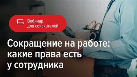 Какие права есть у сотрудника в отношении графика отпусков?