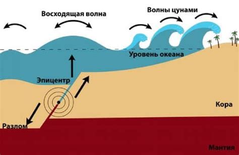 Какие признаки указывают на приближение цунами?