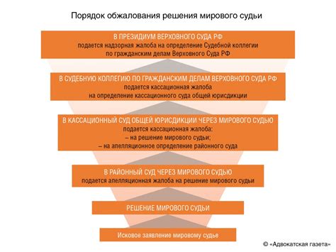 Какие шаги можно предпринять для пересмотра решения мирового судьи?