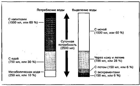 Каким образом смесь влияет на водный баланс?