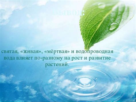 Какое влияние оказывает святая вода на рост и развитие растений?