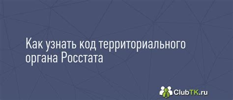 Какой формат имеет Код территориального органа Росстата?