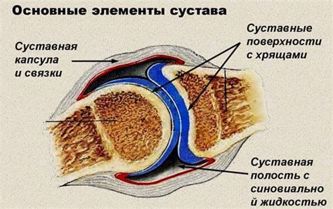 Какой хруст в суставах считается нормой?