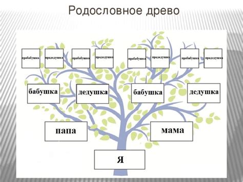 Какую информацию можно найти в родословной