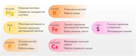 Какую роль играют макро- и микроэлементы в питании после тренировки