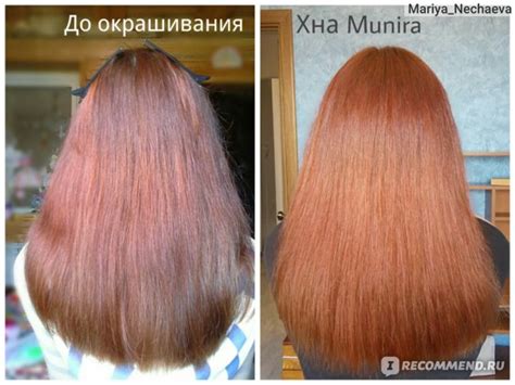 Какую хну выбрать, чтобы избавиться от цвета быстро