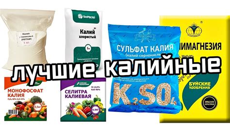 Как вносить калийные удобрения под яблоню