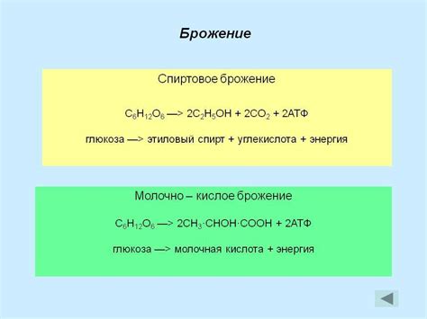 Как вода влияет на процесс брожения