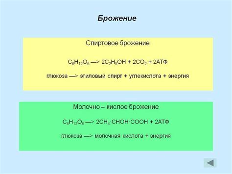 Как вода влияет на процесс брожения