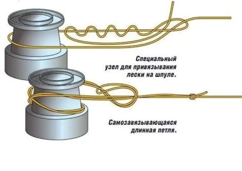 Как выбрать леску: актуальные рекомендации