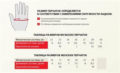 Как выбрать размер перчаток для женщин