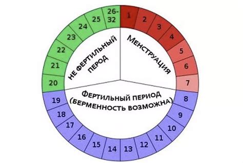 Как день цикла влияет на точность тестовых результатов