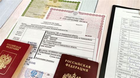 Как зарегистрировать щенка для получения паспорта