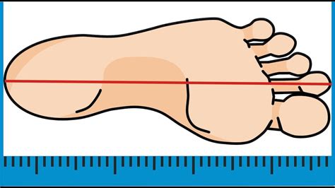 Как измерить длину стопы