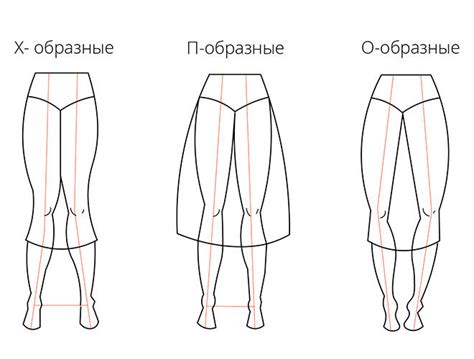 Как изобразить форму и пропорции обезьяньих ног