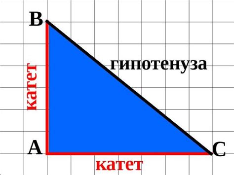 Как использовать катет и угол?