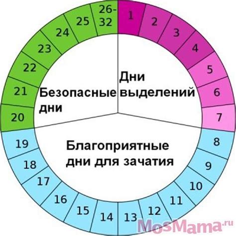 Как корректировать длительный цикл при желании забеременеть