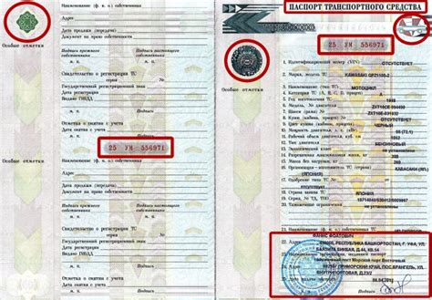 Как можно потерять оригинал ПТС?