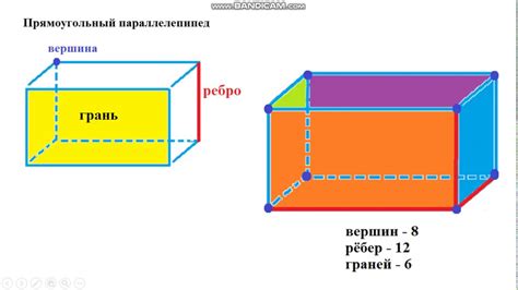 Как найти площадь одной грани параллелепипеда?